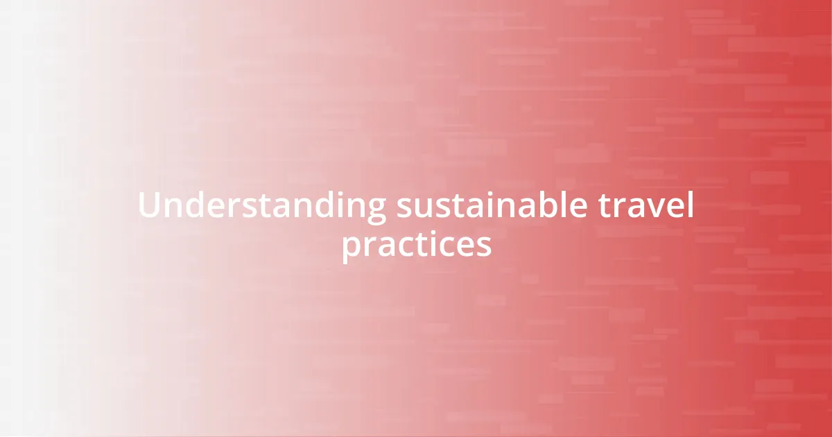 Understanding sustainable travel practices