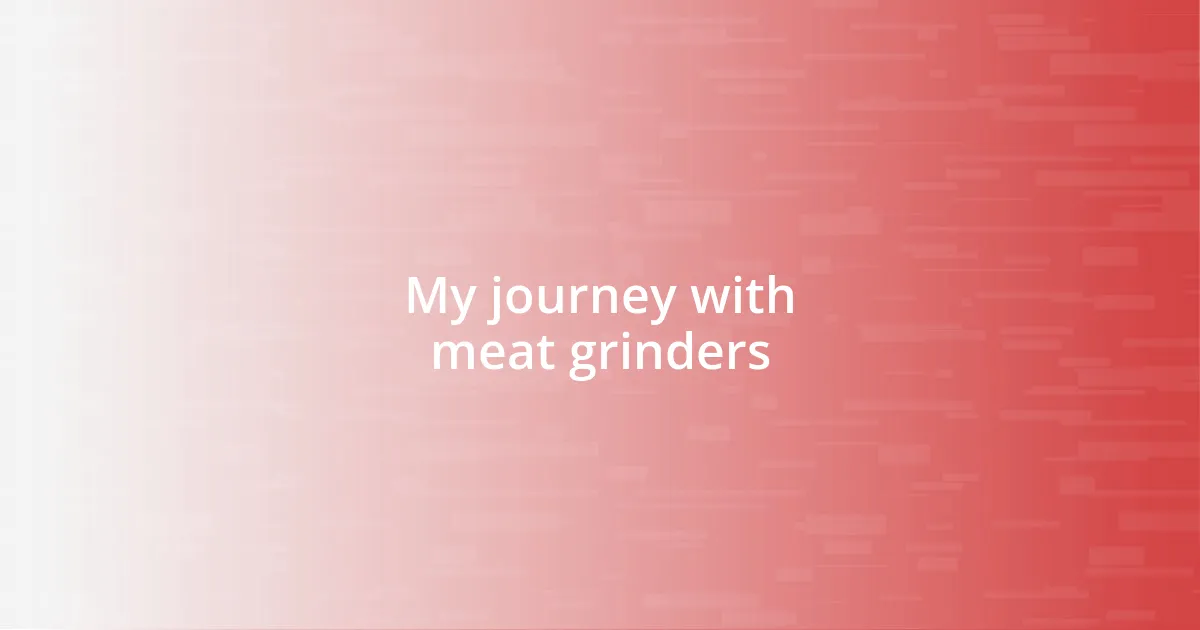 My journey with meat grinders